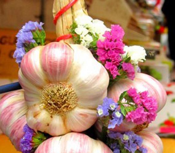 Fête de l'ail rose de Lautrec Fête de l'ail rose de Lautrec © Nadasto