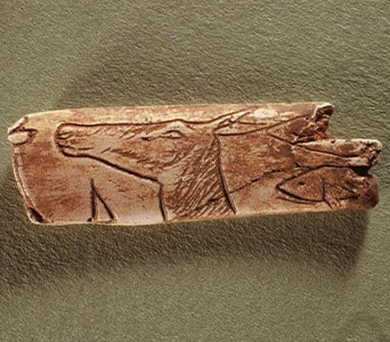 Grotte de la Vache - Ariège