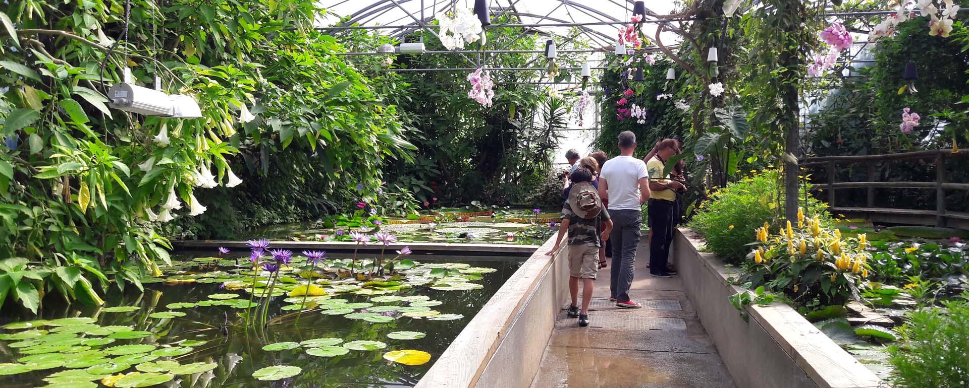 Jardin des Martels dans le Tarn
