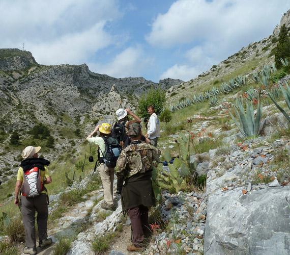 Parc Naturel Régional Narbonnaise en Méditerranée