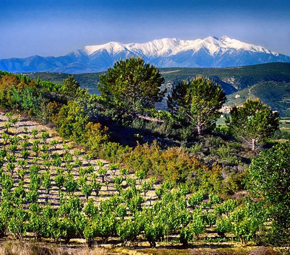 Le Canigó © G.Deschmaps / CRTL Occitanie