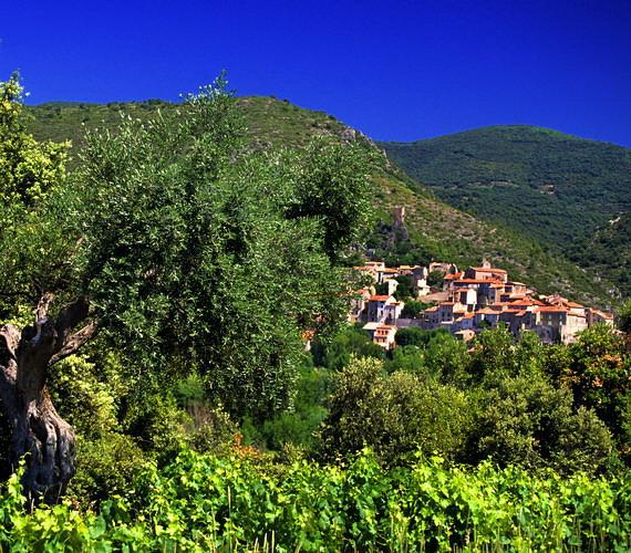 Le vignoble biterrois © C.Deschamps / CRTL Occitanie