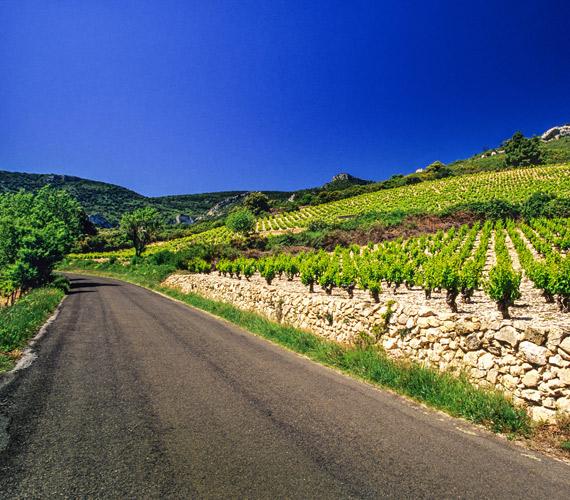 Les Corbières Le vignoble des Corbières © G.Deschamps / CRTL Occitanie