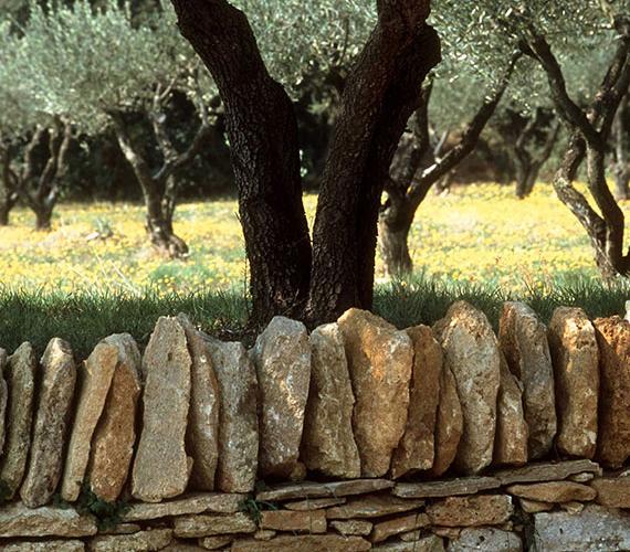 Une expo à ciel ouvert, © Pont du Gard Mémoires de Garrigue
