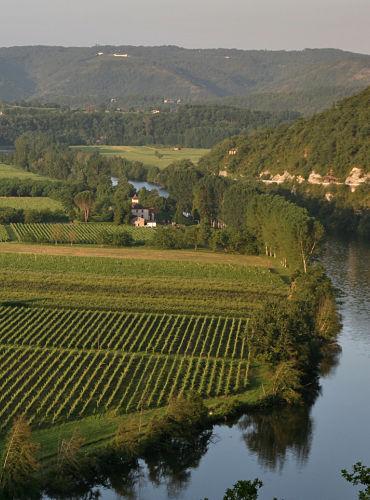 Vignoble a? Parnac Lot Tourisme