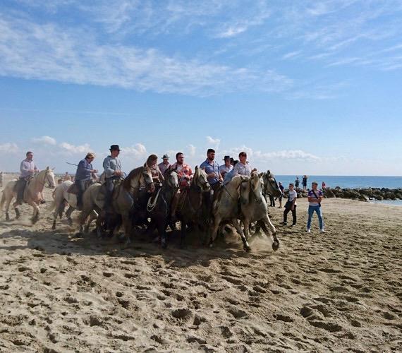 Fêtes traditionnelles en Occitanie