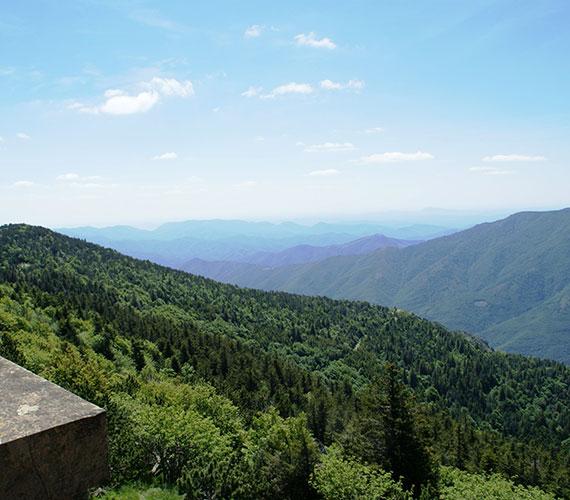 A 1567 mètres d'altitude