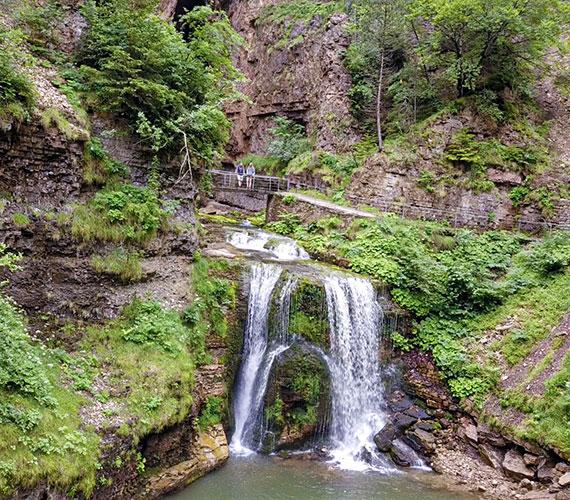 La résurgence du Bonheur
