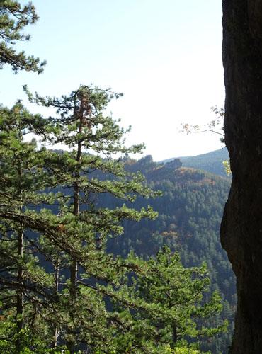 Randonnée en Vallée du Lot, près de Mende © Elsa Guérin Randonnée en Vallée du Lot, près de Mende © Elsa Guérin