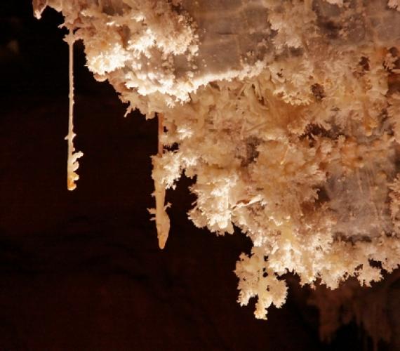 Concrétions d'aragonite