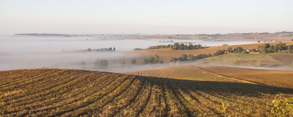 Experience Lomagne - header Lomagne - ©g.cassaro .png