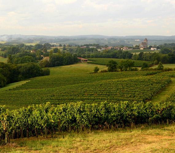 Randonnée pédestre, Gers © CRT Occitanie / P.Thébault