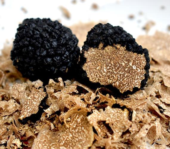 Truffes blanches d'été © Mrdidg de Pixabay