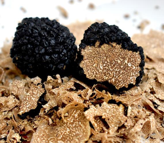 Truffes blanches d'été