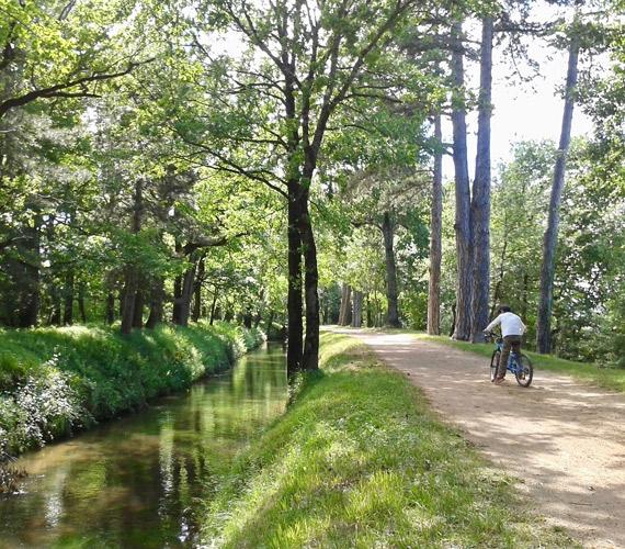 Voie Verte de la Rigole de la Plaine © C.Chabanette / CRTL Occitanie