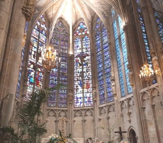 Expérience Aude, Carcassonne, basilique vitraux La basilique