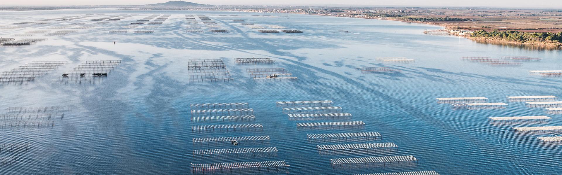 L'étang de Thau - Sète © Tarbouriech / C.Cruells