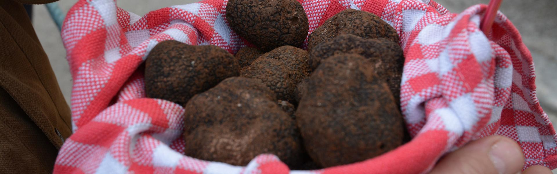 Fete De La Truffe Saint Genies Des Mourgues 2022 Fêtes et marchés aux truffes - Tourisme en Occitanie