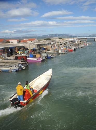 Le village des ostréiculteurs de Leucate