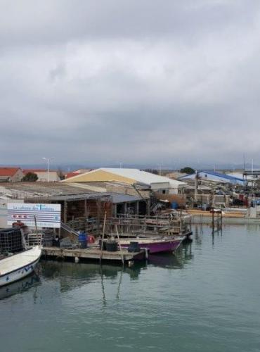 Les cabanes à huîtres de Leucate