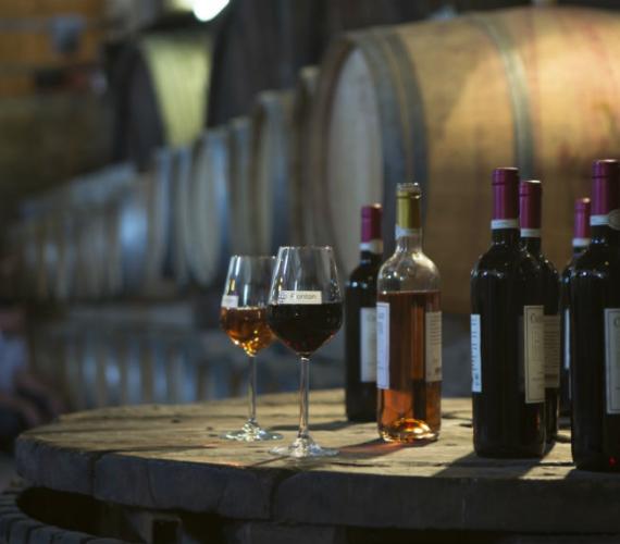 Château Caze - Vignoble de Fronton