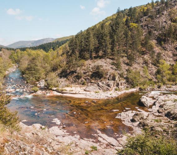 Petite plage le long du Tarn en Lozère © Simon Mioni Rivière Tarn - Lozère © SImon Mioni