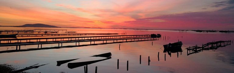 Coucher de soleil sur la lagune de Thau © Domaine Tarbouriech