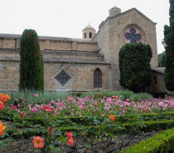 roseraie abbaye de Fontfroide