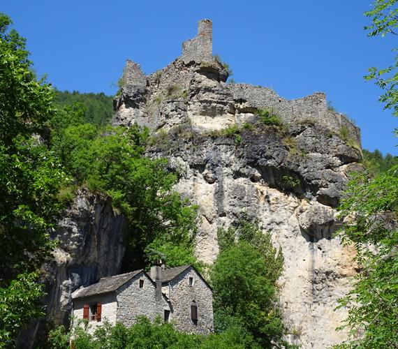 Comment ne pas tomber sous le charme