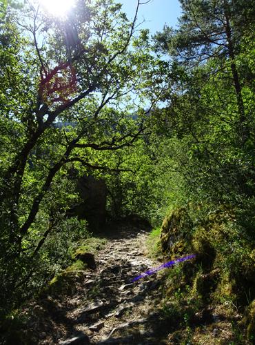 J'ai choisi mon camp !