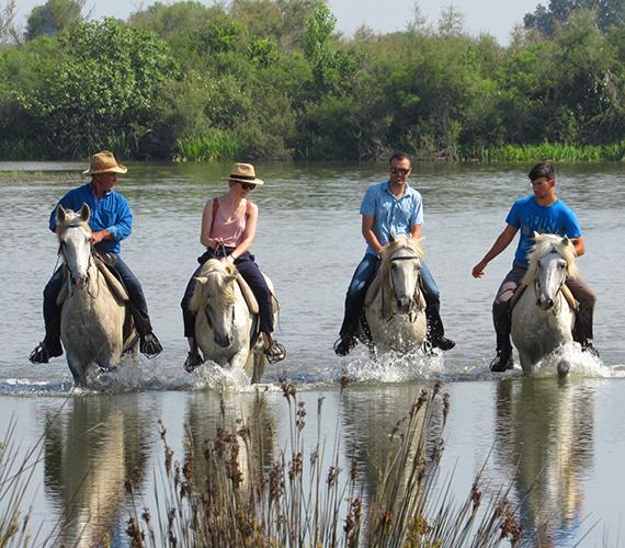A cheval en Camargue