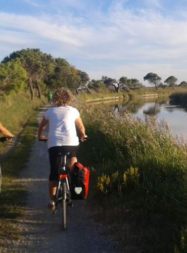 A vélo le long de la Robine © ADT Aude