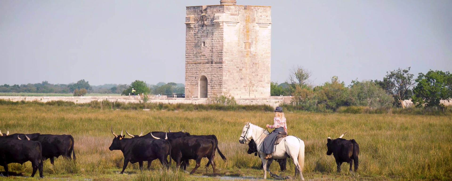 Escapade en Camargue gardoise