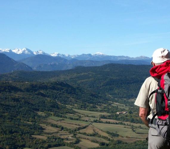 Pech de Bugarach, le sommet