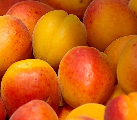 Abricot du Roussillon Abricot du Roussillon © Jacqueline Macou de Pixabay