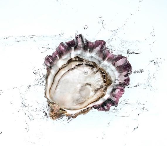 Huître Spéciale Tarbouriech Huître Spéciale Tarbouriech © Maison Tarbouriech Marseillan