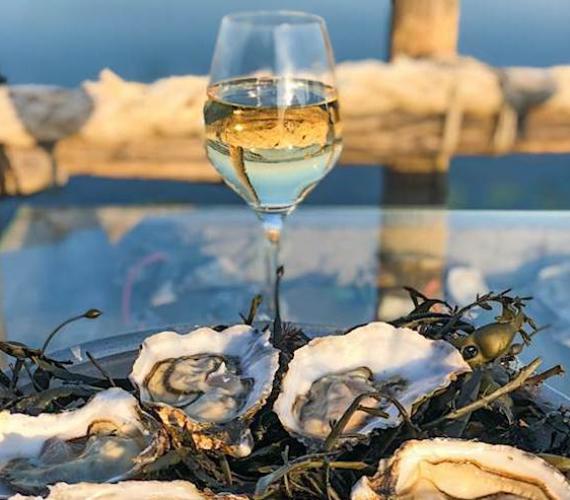 Huîtres et Picpoul de Pinet © Maison Tarbouriech Marseillan