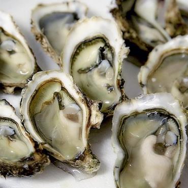 Les huîtres de Méditerranée © Patricia Alexandre de Pixabay