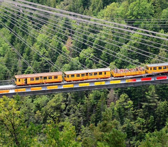 Le Train Jaune de Cerdagne © Office de Tourisme de Font Romeu