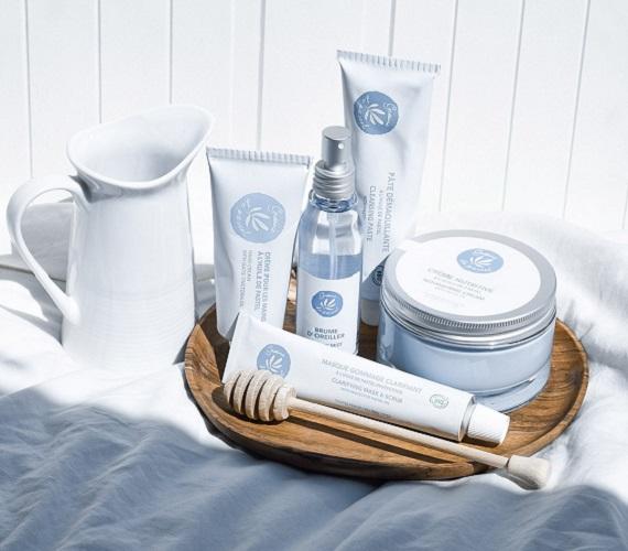 Graine de Pastel Graine de Pastel