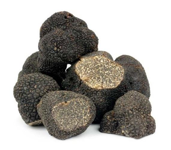 Truffes fraîches de Lalbenque - La Mémé du Quercy 570x500-truffes-fraiches-de-lalbenque-meme-du-quercy.jpg
