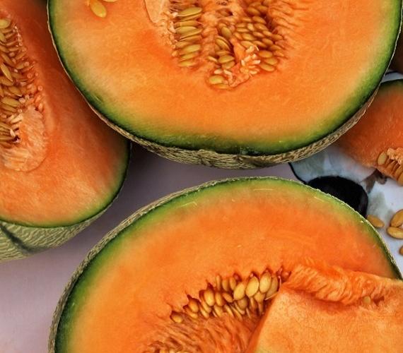 Melons Melon © Pasja 1000 de Pixabay