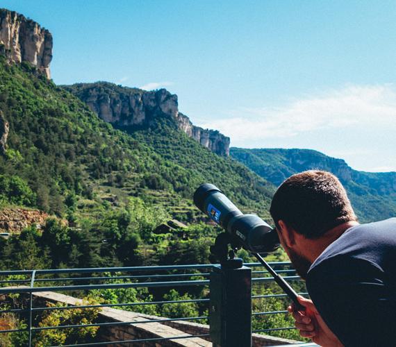 Observation des vautours, Gorges de la Jonte, Staarts.com Face aux géants des airs