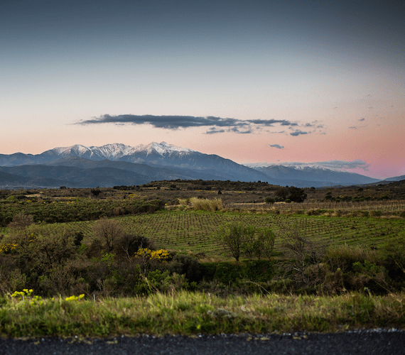Ce terroir est propice aux cultures notamment celle de la vigne