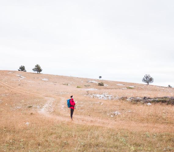 Les chevaux sont là, quelque part...