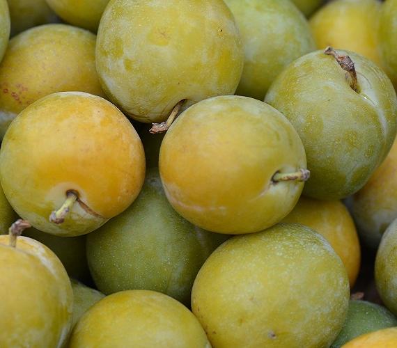 Prune Reine-Claude  Prune Reine-Claude © Ben Kerckx de Pixabay