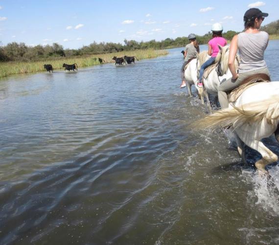 La Cabane du Daladel - Camargue