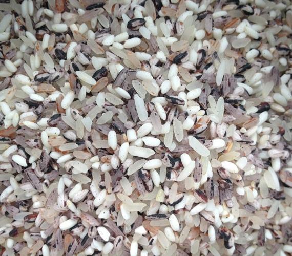 Riz © Jing de Pixabay