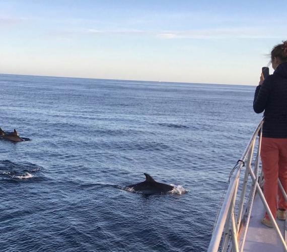 Sortie Catamaran Terre Marine Cap d'Agde