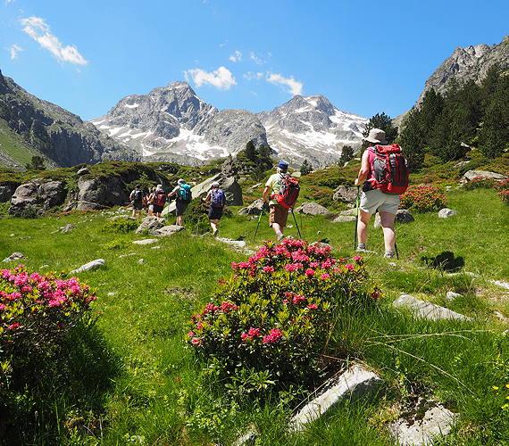 Villages Vacances, animations adultes